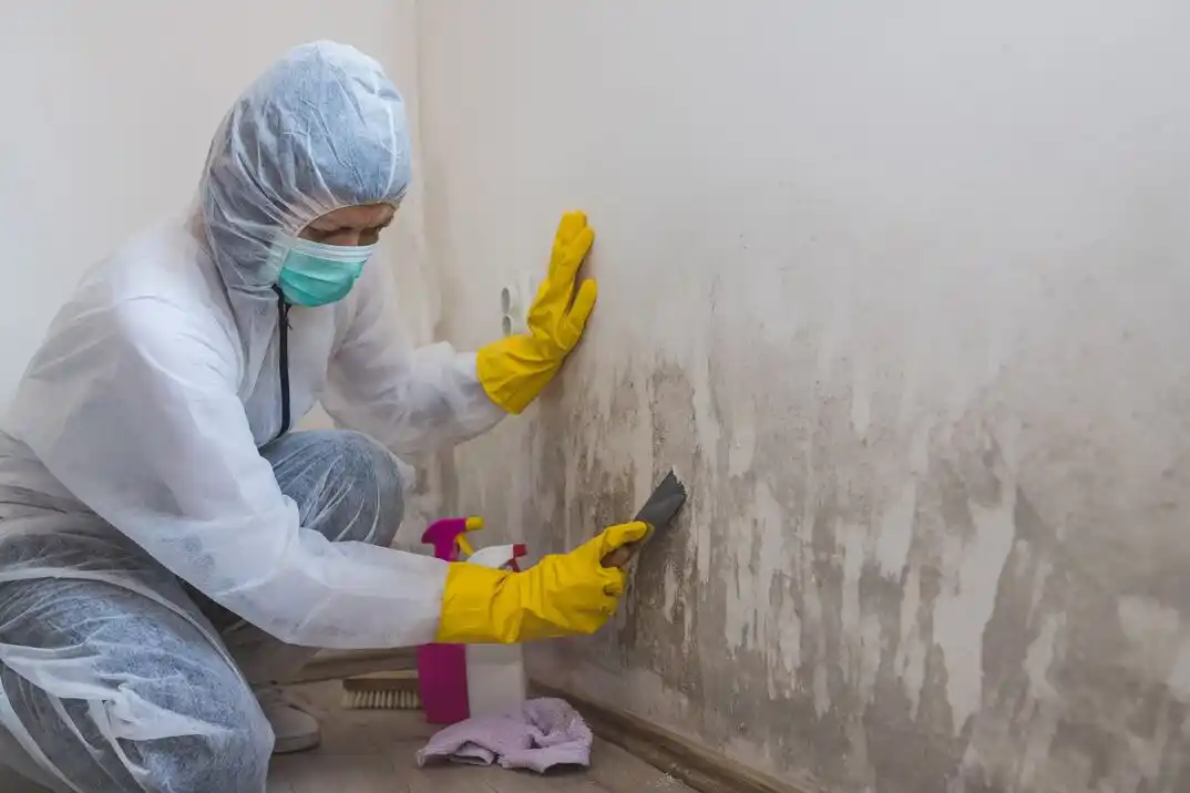water damage restoration service Druid Hills South